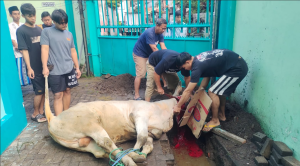 Semangat Berbagi dan Belajar Qurban Warnai Idul Adha 1447 H di SMK PGRI 1 Surabaya